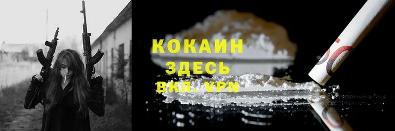 COCAIN Fish Scale Богданович